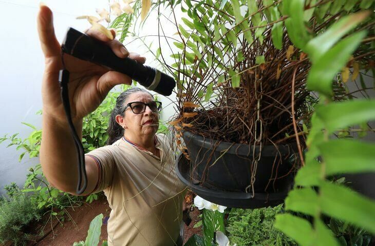 Imagem de compartilhamento para o artigo Combate ao Aedes começa dentro de casa e saúde faz alerta em MS da MS Todo dia